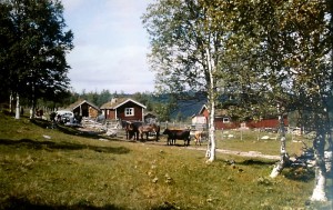 Setra i Galådalen, med den gamle Chevroleten og beitedyr. Foto fra tidlig på 60-tallet. Foto: Ola O. Øvergård.