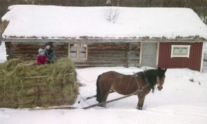 Med hest etter høy,Vigdis og Jan Erik Øvergård.