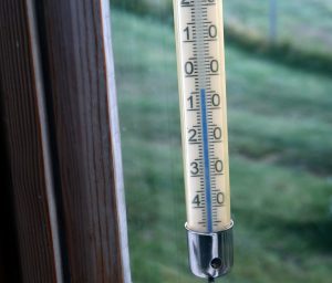 KULDEGRADER: Når setervollen ligger på nærmere tusen meters høyde, må man regne med frostnetter.