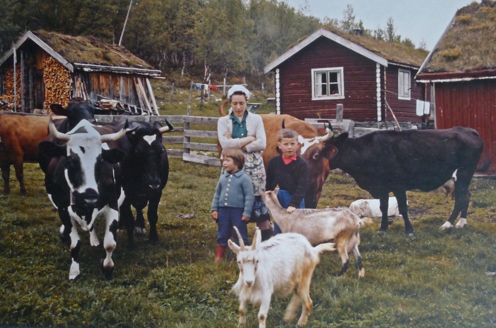 SETERLIVET PÅ 60-TALLET: Jan Erik som ung, tidlig på 1960-tallet, på setra sammen med søster Vigdis og mor Emma. Bjellekua Vennlig til venstra, modell for bjellekua i Rosemalt.